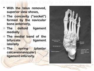 Ankle and Foot Complex biomechanics and its pathology | PPTX