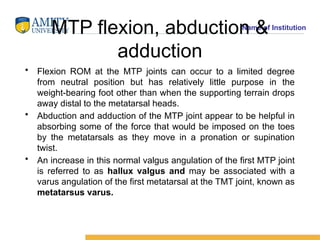 M Tp Normal Rom ANKLE AND FOOT COMPLEX -DHEERAJ. Nreejpptx | PPTX