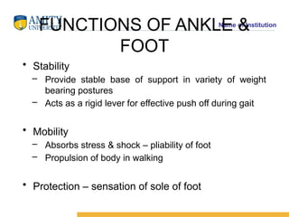 ANKLE AND FOOT COMPLEX -DHEERAJ. Nreejpptx | PPTX