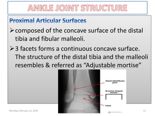 composed of the concave surface of the distal
tibia and fibular malleoli.
3 facets forms a continuous concave surface.
The structure of the distal tibia and the malleoli
resembles & referred as “Adjustable mortise”
composed of the concave surface of the distal
tibia and fibular malleoli.
3 facets forms a continuous concave surface.
The structure of the distal tibia and the malleoli
resembles & referred as “Adjustable mortise”
Monday, February 13, 2023 Dechasa Imiru 12
 