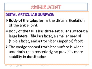 Body of the talus forms the distal articulation
of the ankle joint.
Body of the talus has three articular surfaces: a
large lateral (fibular) facet, a smaller medial
(tibial) facet, and a trochlear (superior) facet.
The wedge shaped trochlear surface is wider
anteriorly than posteriorly, so provides more
stability in dorsiflexion.
Monday, February 13, 2023 Dechasa Imiru 14
 