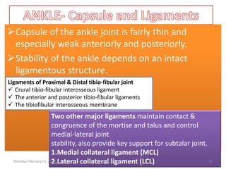 Capsule of the ankle joint is fairly thin and
especially weak anteriorly and posteriorly.
Stability of the ankle depends on an intact
ligamentous structure.
Capsule of the ankle joint is fairly thin and
especially weak anteriorly and posteriorly.
Stability of the ankle depends on an intact
ligamentous structure.
Ligaments of Proximal & Distal tibio-fibular joint
 Crural tibio-fibular interosseous ligament
 The anterior and posterior tibio-fibular ligaments
 The tibiofibular interosseous membrane
Two other major ligaments maintain contact &
congruence of the mortise and talus and control
medial-lateral joint
stability, also provide key support for subtalar joint.
1.Medial collateral ligament (MCL)
2.Lateral collateral ligament (LCL)
Monday, February 13, 2023 Dechasa Imiru 15
 
