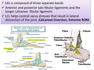 is composed of three separate bands
 Anterior and posterior talo-fibular ligaments and the
longer calcaneo- fibular ligament.
 LCL helps control varus stresses that result in lateral
distraction of the joint ,Calcaneal inversion, Extreme ROM.
is composed of three separate bands
 Anterior and posterior talo-fibular ligaments and the
longer calcaneo- fibular ligament.
 LCL helps control varus stresses that result in lateral
distraction of the joint ,Calcaneal inversion, Extreme ROM.
Monday, February 13, 2023 Dechasa Imiru 17
 