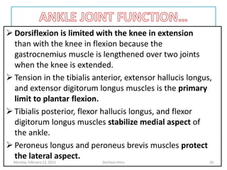  Dorsiflexion is limited with the knee in extension
than with the knee in flexion because the
gastrocnemius muscle is lengthened over two joints
when the knee is extended.
 Tension in the tibialis anterior, extensor hallucis longus,
and extensor digitorum longus muscles is the primary
limit to plantar flexion.
 Tibialis posterior, flexor hallucis longus, and flexor
digitorum longus muscles stabilize medial aspect of
the ankle.
 Peroneus longus and peroneus brevis muscles protect
the lateral aspect.
Monday, February 13, 2023 Dechasa Imiru 20
 
