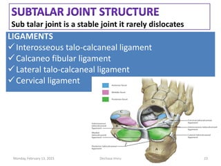 Sub talar joint is a stable joint it rarely dislocates
LIGAMENTS
Interosseous talo-calcaneal ligament
Calcaneo fibular ligament
Lateral talo-calcaneal ligament
Cervical ligament
LIGAMENTS
Interosseous talo-calcaneal ligament
Calcaneo fibular ligament
Lateral talo-calcaneal ligament
Cervical ligament
Monday, February 13, 2023 Dechasa Imiru 23
 