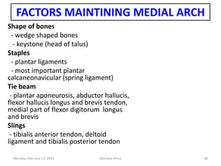FACTORS MAINTINING MEDIAL ARCH
Shape of bones
- wedge shaped bones
- keystone (head of talus)
Staples
- plantar ligaments
- most important plantar
calcaneonavicular (spring ligament)
Tie beam
- plantar aponeurosis, abductor hallucis,
flexor hallucis longus and brevis tendon,
medial part of flexor digitorum longus
and brevis
Slings
- tibialis anterior tendon, deltoid
ligament and tibialis posterior tendon
Monday, February 13, 2023 Dechasa Imiru 38
 