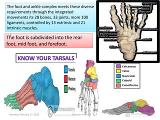 .
The foot and ankle complex meets these diverse
requirements through the integrated
movements its 28 bones, 33 joints, more 100
ligaments, controlled by 13 extrinsic and 21
intrinsic muscles.
The foot and ankle complex meets these diverse
requirements through the integrated
movements its 28 bones, 33 joints, more 100
ligaments, controlled by 13 extrinsic and 21
intrinsic muscles.
The foot is subdivided into the rear
foot, mid foot, and forefoot.
The foot is subdivided into the rear
foot, mid foot, and forefoot.
.
Monday, February 13, 2023 Dechasa Imiru 4
 