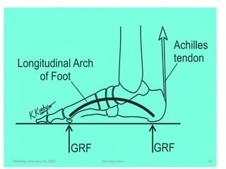 Monday, February 13, 2023 Dechasa Imiru 42
 
