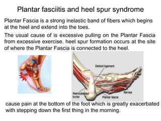 Ankle and foot pain | PPTX