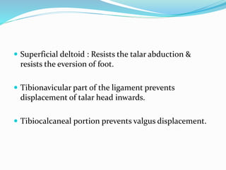  Superficial deltoid : Resists the talar abduction &
resists the eversion of foot.
 Tibionavicular part of the ligament prevents
displacement of talar head inwards.
 Tibiocalcaneal portion prevents valgus displacement.
 
