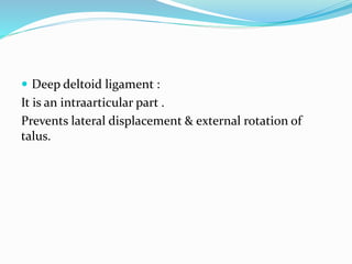  Deep deltoid ligament :
It is an intraarticular part .
Prevents lateral displacement & external rotation of
talus.
 