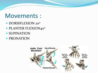 Movements :
 DORSIFLEXION 200
 PLANTER FLEXION400
 SUPINATION
 PRONATION
 