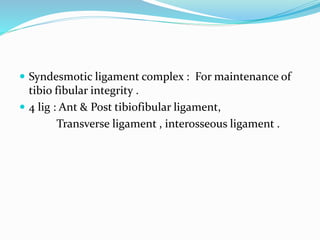  Syndesmotic ligament complex : For maintenance of
tibio fibular integrity .
 4 lig : Ant & Post tibiofibular ligament,
Transverse ligament , interosseous ligament .
 
