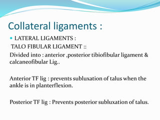 Collateral ligaments :
 LATERAL LIGAMENTS :
TALO FIBULAR LIGAMENT ::
Divided into : anterior ,posterior tibiofibular ligament &
calcaneofibular Lig..
Anterior TF lig : prevents subluxation of talus when the
ankle is in planterflexion.
Posterior TF lig : Prevents posterior subluxation of talus.
 