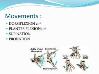  Few biomechanical aspects of the ankle joint ::
 First, it is primarily a hinge joint and, although there is
a continuo...