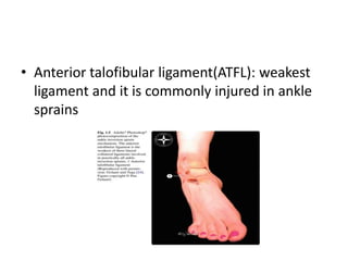 Ankle arthrodesis | PPTX