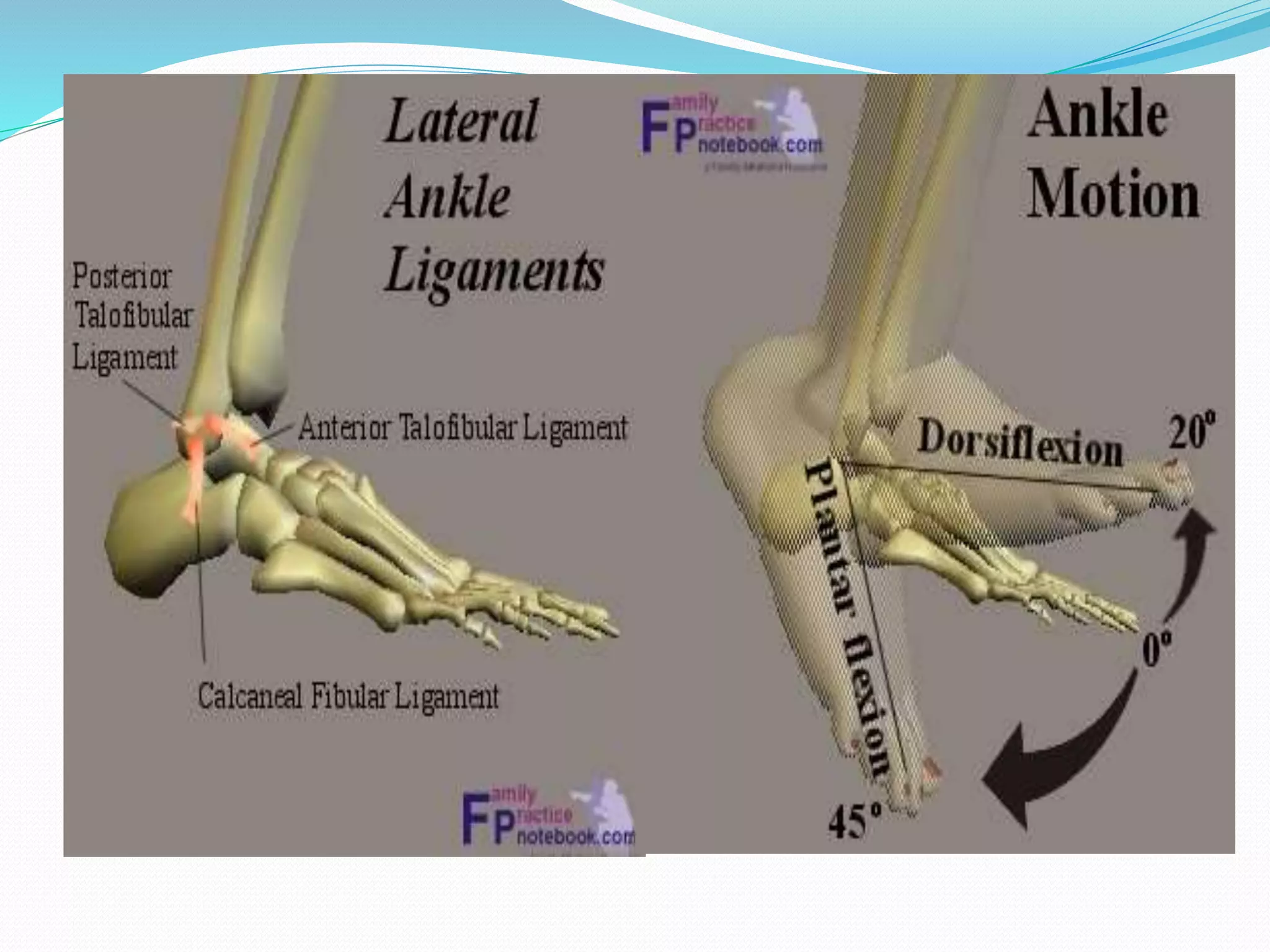Examination evaluation & Assessment of Ankle & Foot | PPTX
