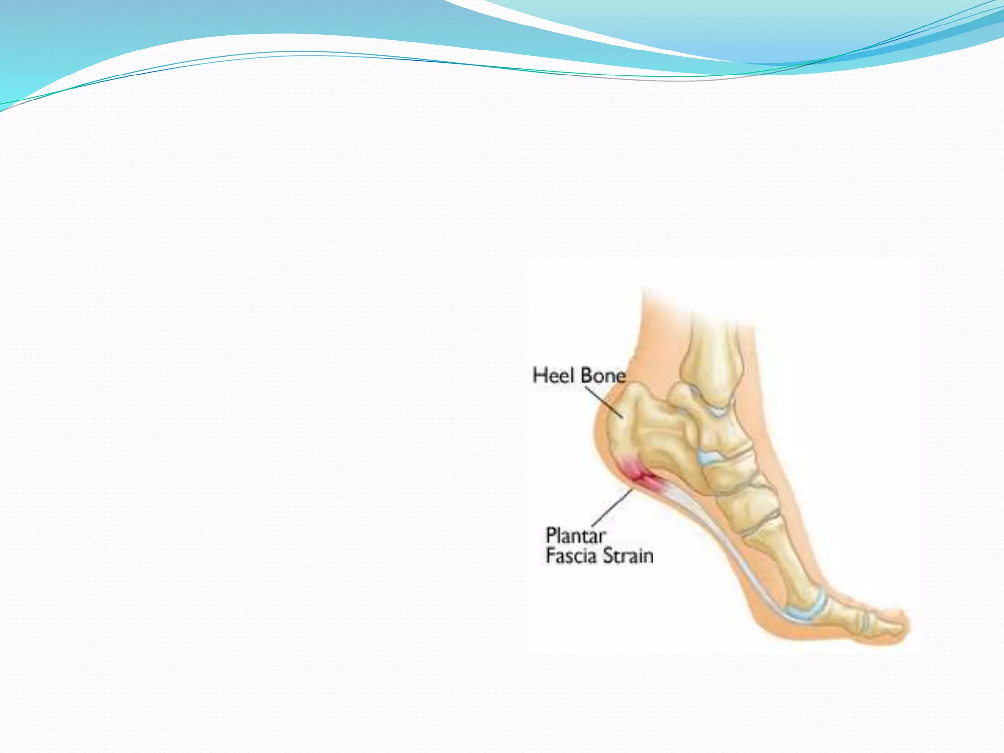 Examination evaluation & Assessment of Ankle & Foot | PPTX