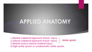 Comprehensive Overview of Ankle Ligaments and Their Clinical ...