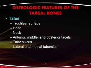 Trochlear Talus Ankle & foot Complex.session 1 | PPT