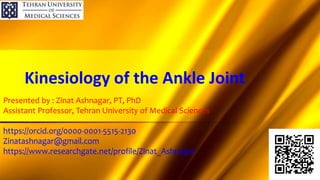 Presented by : Zinat Ashnagar, PT, PhD
Assistant Professor, Tehran University of Medical Sciences
https://orcid.org/0000-0001-5515-2130
Zinatashnagar@gmail.com
https://www.researchgate.net/profile/Zinat_Ashnagar
Kinesiology of the Ankle Joint
 