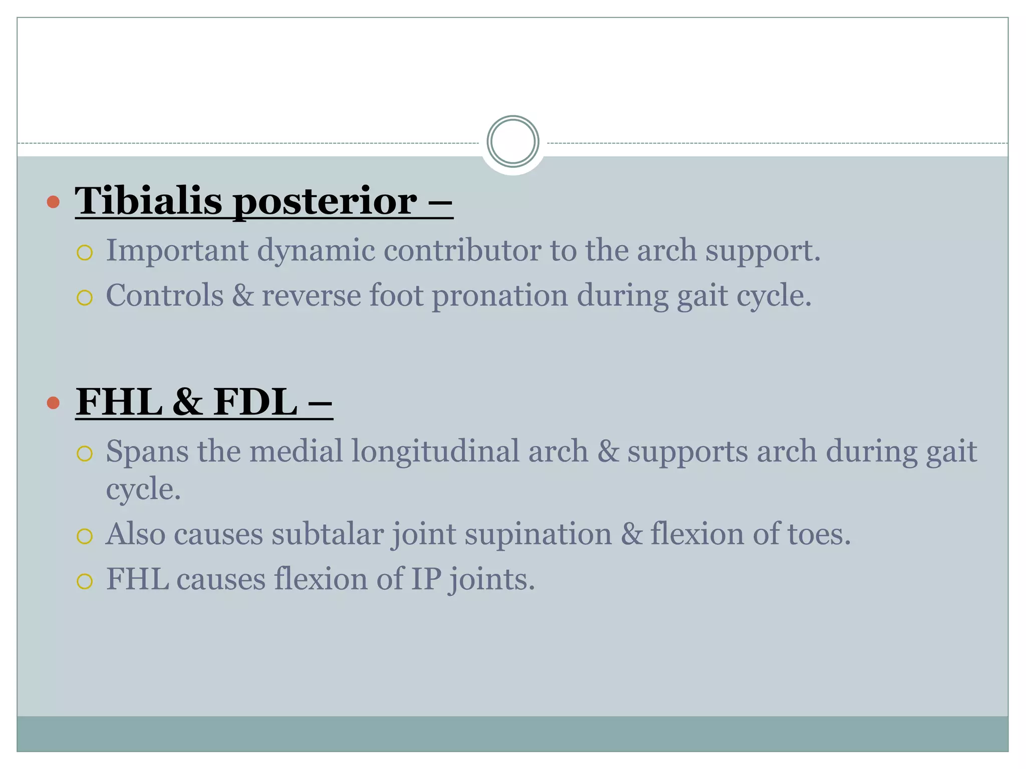 Ankle & foot biomechanics | PPTX