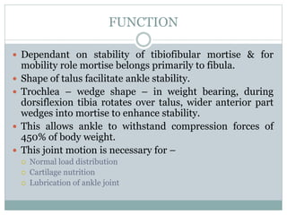 FUNCTION
 Dependant on stability of tibiofibular mortise & for
mobility role mortise belongs primarily to fibula.
 Shape of talus facilitate ankle stability.
 Trochlea – wedge shape – in weight bearing, during
dorsiflexion tibia rotates over talus, wider anterior part
wedges into mortise to enhance stability.
 This allows ankle to withstand compression forces of
450% of body weight.
 This joint motion is necessary for –
 Normal load distribution
 Cartilage nutrition
 Lubrication of ankle joint
 