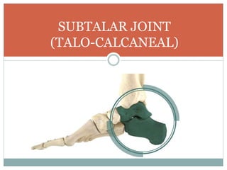 SUBTALAR JOINT
(TALO-CALCANEAL)
 