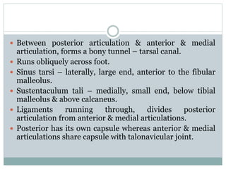  Between posterior articulation & anterior & medial
articulation, forms a bony tunnel – tarsal canal.
 Runs obliquely across foot.
 Sinus tarsi – laterally, large end, anterior to the fibular
malleolus.
 Sustentaculum tali – medially, small end, below tibial
malleolus & above calcaneus.
 Ligaments running through, divides posterior
articulation from anterior & medial articulations.
 Posterior has its own capsule whereas anterior & medial
articulations share capsule with talonavicular joint.
 