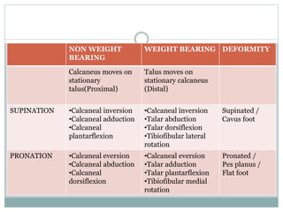 NON WEIGHT
BEARING
WEIGHT BEARING DEFORMITY
Calcaneus moves on
stationary
talus(Proximal)
Talus moves on
stationary calcaneus
(Distal)
SUPINATION •Calcaneal inversion
•Calcaneal adduction
•Calcaneal
plantarflexion
•Calcaneal inversion
•Talar abduction
•Talar dorsiflexion
•Tibiofibular lateral
rotation
Supinated /
Cavus foot
PRONATION •Calcaneal eversion
•Calcaneal abduction
•Calcaneal
dorsiflexion
•Calcaneal eversion
•Talar adduction
•Talar plantarflexion
•Tibiofibular medial
rotation
Pronated /
Pes planus /
Flat foot
 