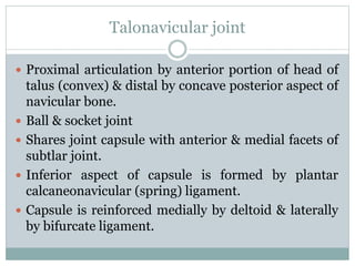 Talonavicular joint
 Proximal articulation by anterior portion of head of
talus (convex) & distal by concave posterior aspect of
navicular bone.
 Ball & socket joint
 Shares joint capsule with anterior & medial facets of
subtlar joint.
 Inferior aspect of capsule is formed by plantar
calcaneonavicular (spring) ligament.
 Capsule is reinforced medially by deltoid & laterally
by bifurcate ligament.
 