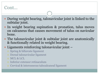 Cont…
 During weight bearing, talonavicular joint is linked to the
subtalar joint.
 In weight bearing supination & pronation, talus moves
on calcaneus that causes movement of talus on navicular
bone.
 The talonavicular joint & subtalar joint are anatomically
& functionally related in weight bearing.
 Ligaments reinforcing talonavicular joint –
 Spring & bifurcate ligament
 Dorsal talonavicular ligament
 MCL & LCL
 Inferior extensor retinaculum
 Cervical & interosseous talocalcaneal ligament
 