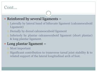 Cont…
 Reinforced by several ligaments –
 Laterally by lateral band of bifurcate ligament (calcaneocuboid
Ligament)
 Dorsally by dorsal calcaneocuboid ligament
 Inferiorly by plantar calcaneocuboid ligament (short plantar)
& long plantar ligament.
 Long plantar ligament –
 Most important
 Significant contribution to transverse tarsal joint stability & to
related support of the lateral longitudinal arch of foot.
 