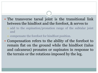  The transverse tarsal joint is the transitional link
between the hindfoot and the forefoot, & serves to
 add to the supination/pronation range of the subtalar joint
and
 compensate the forefoot for hindfoot position.
 Compensation refers to the ability of the forefoot to
remain flat on the ground while the hindfoot (talus
and calcaneus) pronates or supinates in response to
the terrain or the rotations imposed by the leg.
 