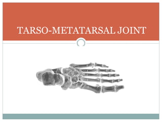 TARSO-METATARSAL JOINT
 