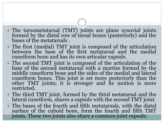  The tarsometatarsal (TMT) joints are plane synovial joints
formed by the distal row of tarsal bones (posteriorly) and the
bases of the metatarsals .
 The first (medial) TMT joint is composed of the articulation
between the base of the first metatarsal and the medial
cuneiform bone and has its own articular capsule.
 The second TMT joint is composed of the articulation of the
base of the second metatarsal with a mortise formed by the
middle cuneiform bone and the sides of the medial and lateral
cuneiform bones. This joint is set more posteriorly than the
other TMT joints; it is stronger and its motion is more
restricted.
 The third TMT joint, formed by the third metatarsal and the
lateral cuneiform, shares a capsule with the second TMT joint.
 The bases of the fourth and fifth metatarsals, with the distal
surface of the cuboid bone, form the fourth and fifth TMT
joints. These two joints also share a common joint capsule.
 