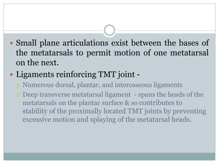  Small plane articulations exist between the bases of
the metatarsals to permit motion of one metatarsal
on the next.
 Ligaments reinforcing TMT joint -
 Numerous dorsal, plantar, and interosseous ligaments
 Deep transverse metatarsal ligament - spans the heads of the
metatarsals on the plantar surface & so contributes to
stability of the proximally located TMT joints by preventing
excessive motion and splaying of the metatarsal heads.
 