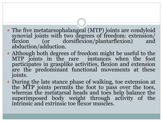  The five metatarsophalangeal (MTP) joints are condyloid
synovial joints with two degrees of freedom: extension/
flexion (or dorsiflexion/plantarflexion) and
abduction/adduction.
 Although both degrees of freedom might be useful to the
MTP joints in the rare instances when the foot
participates in grasplike activities, flexion and extension
are the predominant functional movements at these
joints.
 During the late stance phase of walking, toe extension at
the MTP joints permits the foot to pass over the toes,
whereas the metatarsal heads and toes help balance the
superimposed body weight through activity of the
intrinsic and extrinsic toe flexor muscles.
 