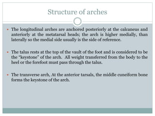 Structure of arches
 The longitudinal arches are anchored posteriorly at the calcaneus and
anteriorly at the metatarsal heads; the arch is higher medially, than
laterally so the medial side usually is the side of reference.
 The talus rests at the top of the vault of the foot and is considered to be
the “keystone” of the arch. All weight transferred from the body to the
heel or the forefoot must pass through the talus.
 The transverse arch, At the anterior tarsals, the middle cuneiform bone
forms the keystone of the arch.
 