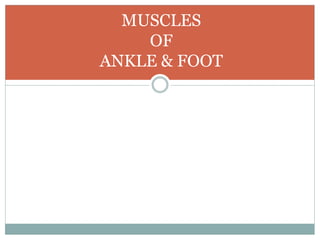 MUSCLES
OF
ANKLE & FOOT
 
