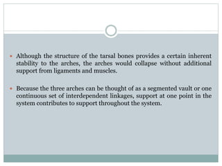  Although the structure of the tarsal bones provides a certain inherent
stability to the arches, the arches would collapse without additional
support from ligaments and muscles.
 Because the three arches can be thought of as a segmented vault or one
continuous set of interdependent linkages, support at one point in the
system contributes to support throughout the system.
 