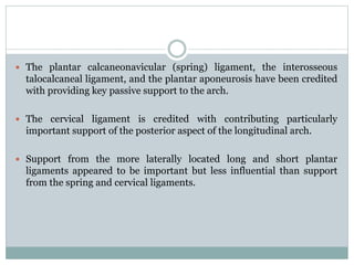  The plantar calcaneonavicular (spring) ligament, the interosseous
talocalcaneal ligament, and the plantar aponeurosis have been credited
with providing key passive support to the arch.
 The cervical ligament is credited with contributing particularly
important support of the posterior aspect of the longitudinal arch.
 Support from the more laterally located long and short plantar
ligaments appeared to be important but less influential than support
from the spring and cervical ligaments.
 
