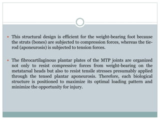  This structural design is efficient for the weight-bearing foot because
the struts (bones) are subjected to compression forces, whereas the tie-
rod (aponeurosis) is subjected to tension forces.
 The fibrocartilaginous plantar plates of the MTP joints are organized
not only to resist compressive forces from weight-bearing on the
metatarsal heads but also to resist tensile stresses presumably applied
through the tensed plantar aponeurosis. Therefore, each biological
structure is positioned to maximize its optimal loading pattern and
minimize the opportunity for injury.
 