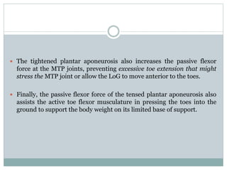  The tightened plantar aponeurosis also increases the passive flexor
force at the MTP joints, preventing excessive toe extension that might
stress the MTP joint or allow the LoG to move anterior to the toes.
 Finally, the passive flexor force of the tensed plantar aponeurosis also
assists the active toe flexor musculature in pressing the toes into the
ground to support the body weight on its limited base of support.
 