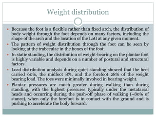 Weight distribution
 Because the foot is a flexible rather than fixed arch, the distribution of
body weight through the foot depends on many factors, including the
shape of the arch and the location of the LoG at any given moment.
 The pattern of weight distribution through the foot can be seen by
looking at the trabeculae in the bones of the foot.
 In static standing, the distribution of weight-bearing on the plantar foot
is highly variable and depends on a number of postural and structural
factors.
 Load distribution analysis during quiet standing showed that the heel
carried 60%, the midfoot 8%, and the forefoot 28% of the weight
bearing load. The toes were minimally involved in bearing weight.
 Plantar pressures are much greater during walking than during
standing, with the highest pressures typically under the metatarsal
heads and occurring during the push-off phase of walking (~80% of
stance), when only the forefoot is in contact with the ground and is
pushing to accelerate the body forward.
 