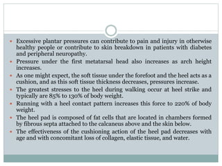  Excessive plantar pressures can contribute to pain and injury in otherwise
healthy people or contribute to skin breakdown in patients with diabetes
and peripheral neuropathy.
 Pressure under the first metatarsal head also increases as arch height
increases.
 As one might expect, the soft tissue under the forefoot and the heel acts as a
cushion, and as this soft tissue thickness decreases, pressures increase.
 The greatest stresses to the heel during walking occur at heel strike and
typically are 85% to 130% of body weight.
 Running with a heel contact pattern increases this force to 220% of body
weight.
 The heel pad is composed of fat cells that are located in chambers formed
by fibrous septa attached to the calcaneus above and the skin below.
 The effectiveness of the cushioning action of the heel pad decreases with
age and with concomitant loss of collagen, elastic tissue, and water.
 
