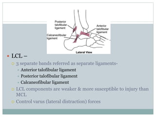 Lcl Complex Components Ankle & foot biomechanics | PPTX