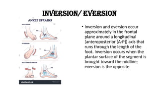 THE BIOMECHANICS & KINESIOLOGY OF THE ANKLE & FOOT COMPLEX.pptx
