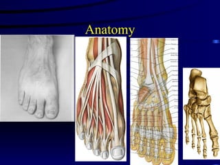 ankle and foot injuries-evaluation and management | PPT