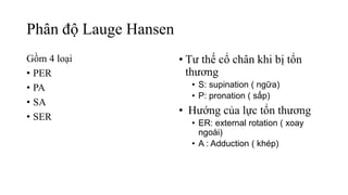 Phân độ Lauge Hansen
Gồm 4 loại
• PER
• PA
• SA
• SER
• Tư thế cổ chân khi bị tổn
thương
• S: supination ( ngữa)
• P: pronation ( sấp)
• Hướng của lực tổn thương
• ER: external rotation ( xoay
ngoài)
• A : Adduction ( khép)
 